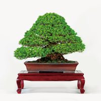仁見 勇雄