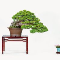 守谷 次男