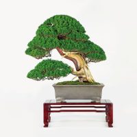 久保 俊昭