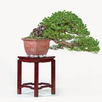 永塚 滋