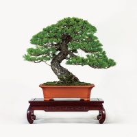 高野 清志