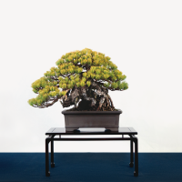 03_相馬 三夫