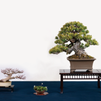 20_小川 勝