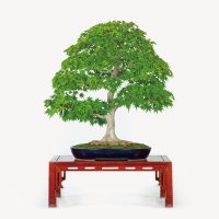 小林 保夫