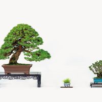 伊藤 久
