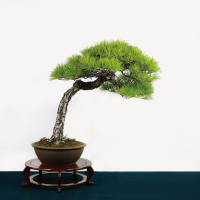 06_多田 慎吾
