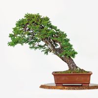 斉藤 博敏