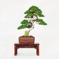 塩田 満夫