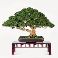 靍見 敏夫