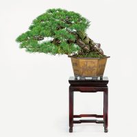 水沼 忠夫