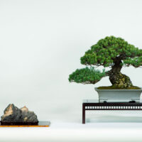 栃木県知事 福田 富一